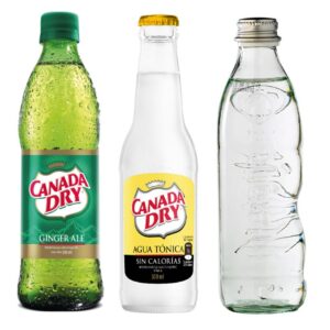 GASEOSA GING/BRET/TON 10 ONZ